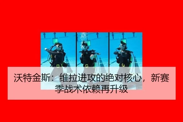 wo-te-jin-si-wei-la-jin-gong-de-jue-dui-he-xin-xin-sai-ji-zhan-shu-yi-lai-zai-sheng-ji-2-373.jpg