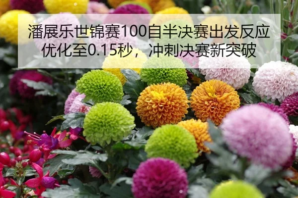 潘展乐世锦赛100自半决赛出发反应优化至0.15秒，冲刺决赛新突破
