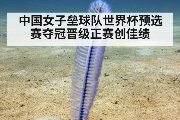 中国女子垒球队世界杯预选赛夺冠晋级正赛创佳绩