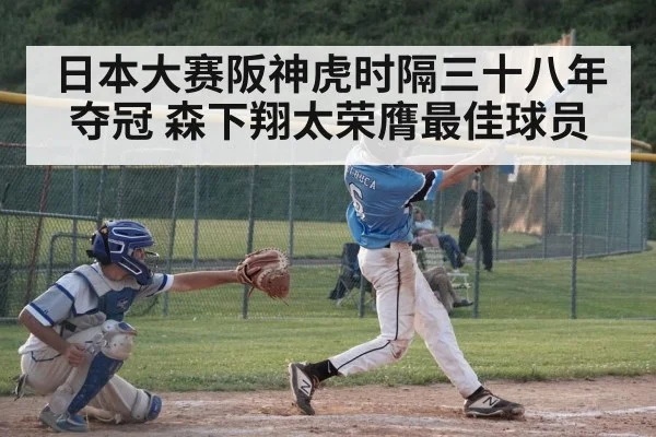 日本大赛阪神虎时隔三十八年夺冠 森下翔太荣膺最佳球员
