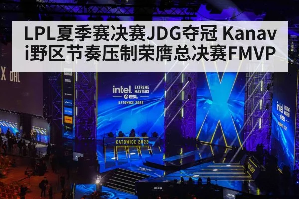 LPL夏季赛决赛JDG夺冠 Kanavi野区节奏压制荣膺总决赛FMVP